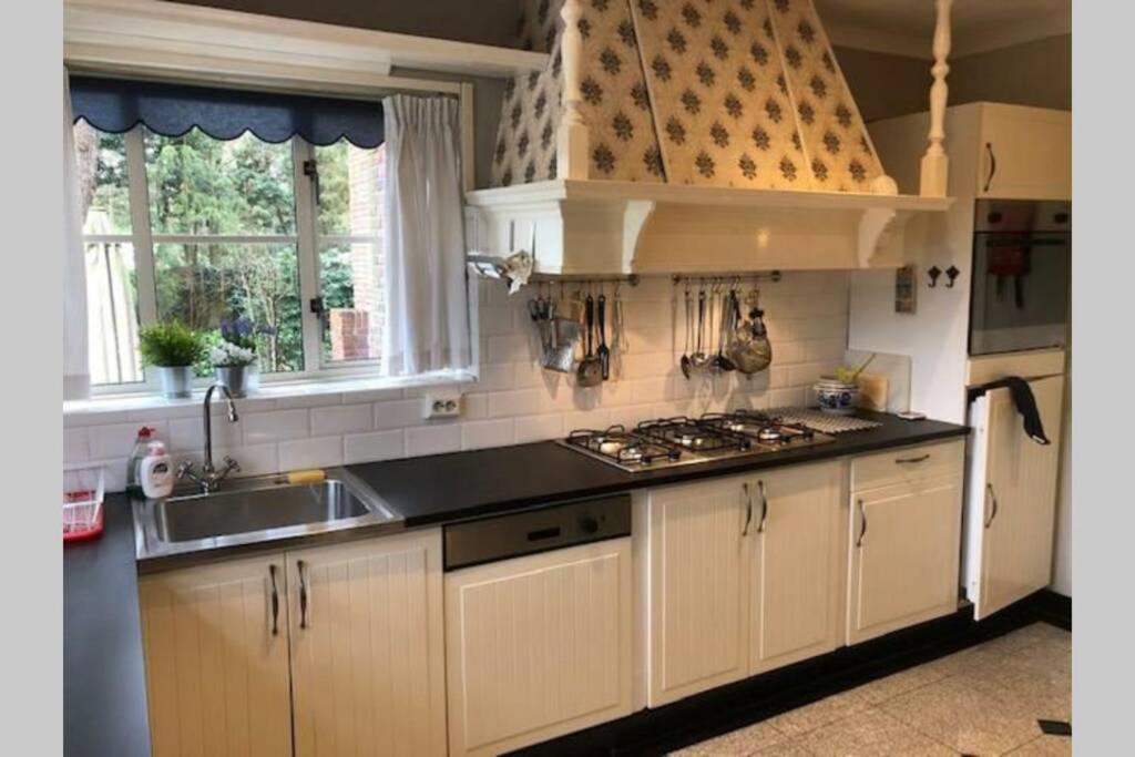 Vrijstaande Rietgedekte Villa Nabij Uitvalswegen Вассенаар Екстер'єр фото